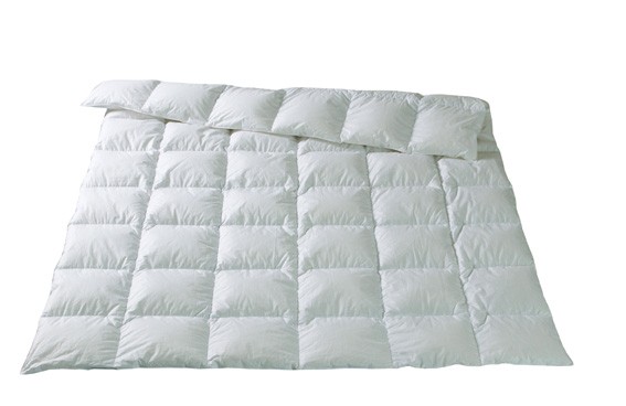 Fischbacher Kassettendecke Lugano